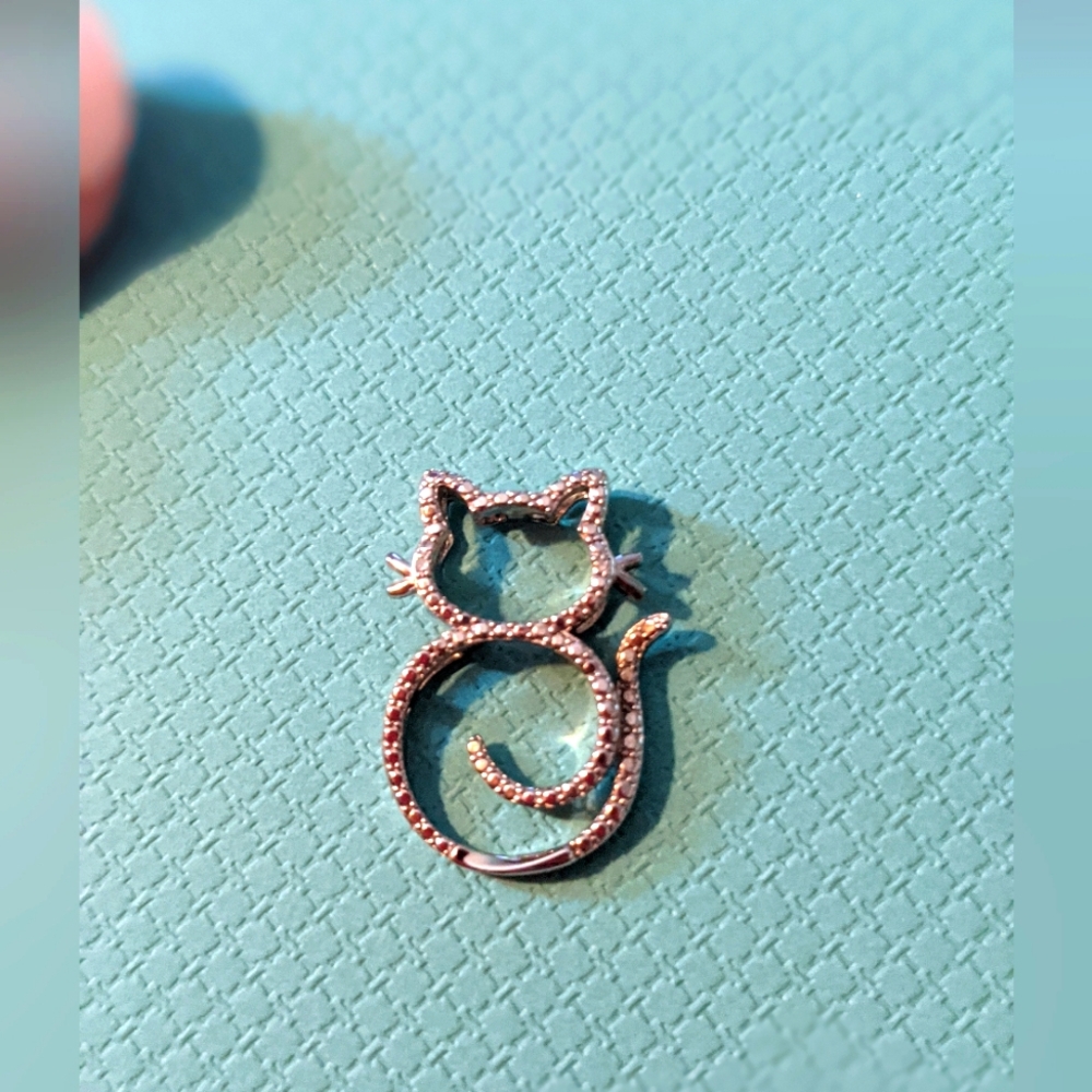 Kitty Cat Charm + Free Tervis Stainless steel Cup